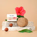 Kia Ora Champú Sólido Hibisco Detox 85gr - Curly Stop